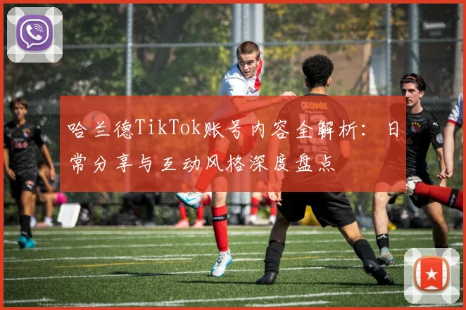 哈兰德TikTok账号内容全解析：日常分享与互动风格深度盘点