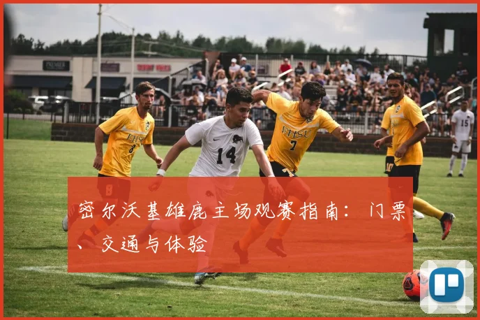 密尔沃基雄鹿主场观赛指南：门票、交通与体验